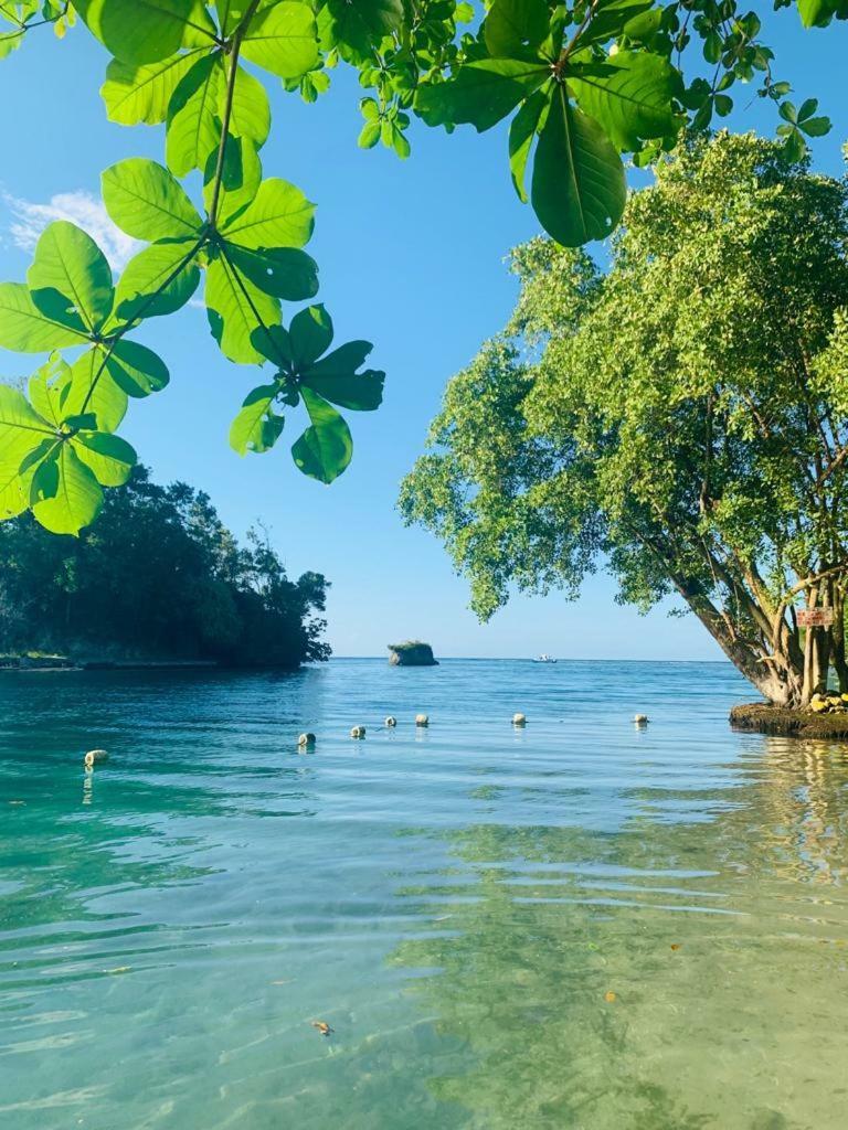 Tha Lagoon Spot Caribbean Breeze Apartment Port Antonio Exterior photo