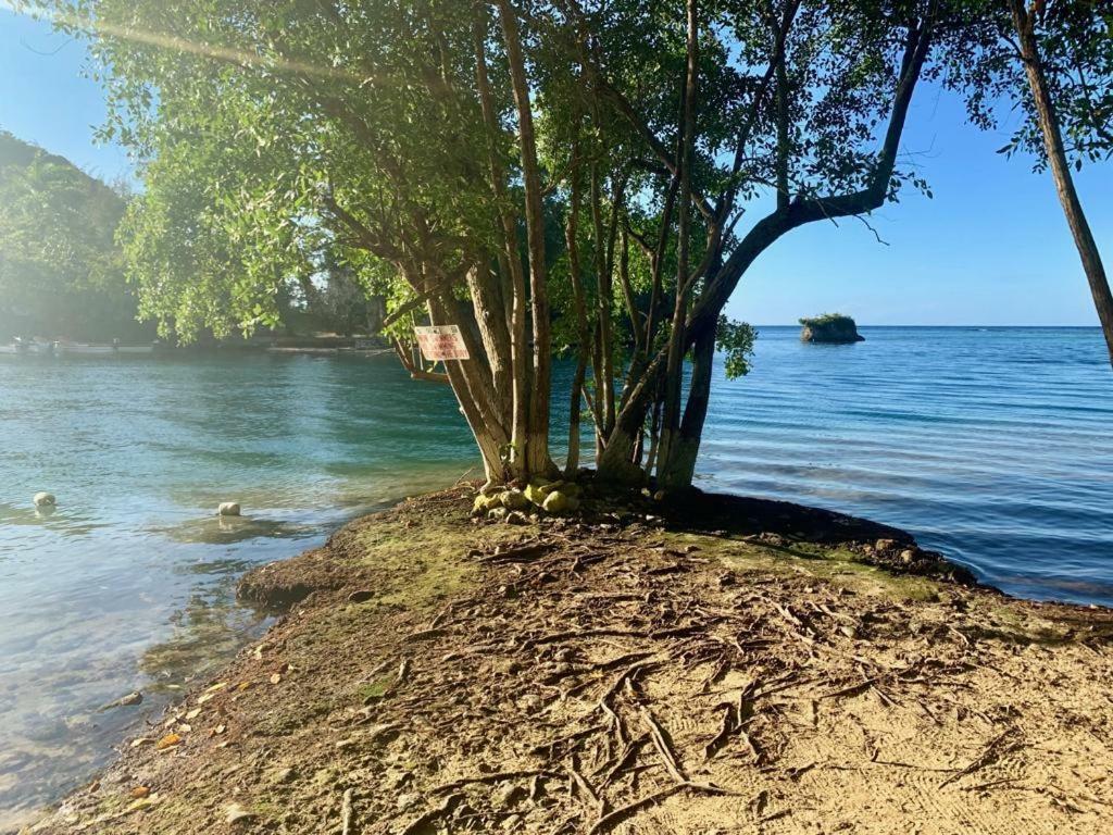 Tha Lagoon Spot Caribbean Breeze Apartment Port Antonio Exterior photo